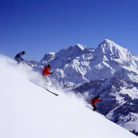 Tannermatte * Adelboden