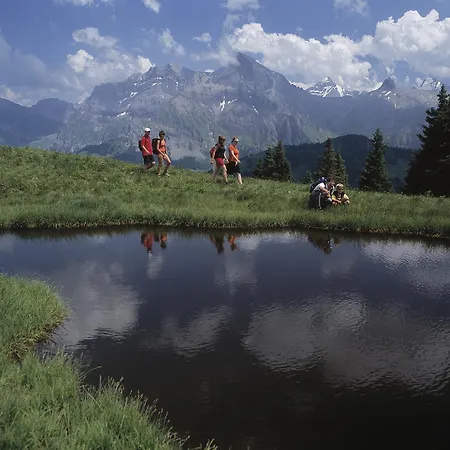 Tannermatte Adelboden
